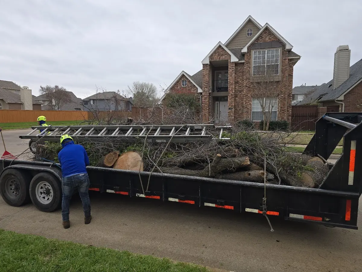 Expert Tree Fertilization with proper safety equipment in Oliver